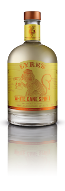 Logo for: White Cane Spirit