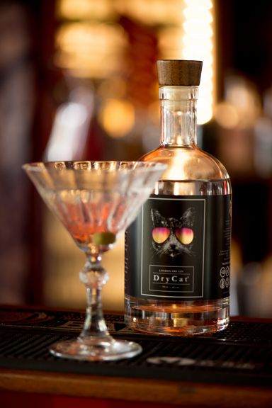 Photo for: Drycat - London Dry Gin